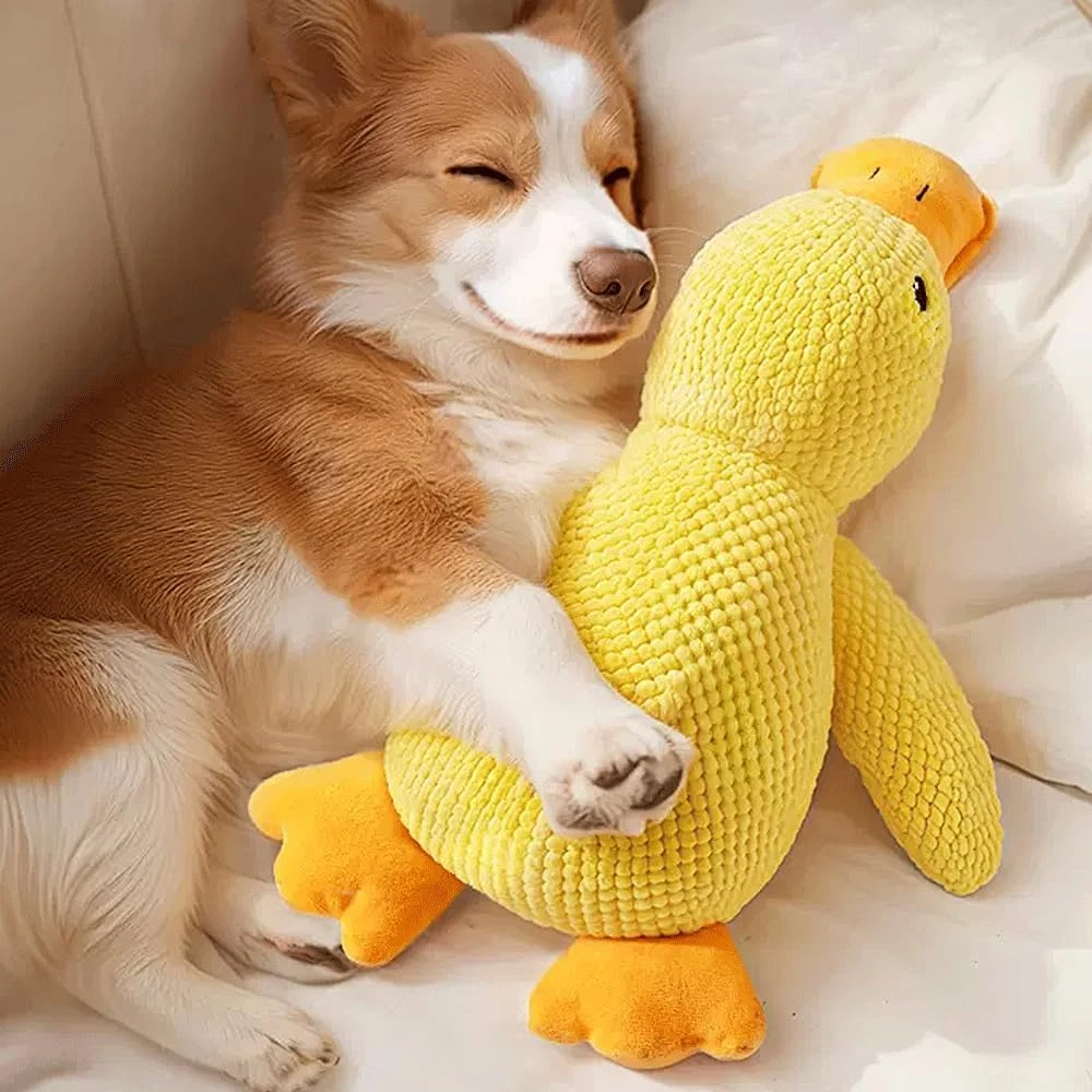 Hundespielzeug fr Groe Hunde online kaufen | eBay.de