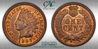 CACG MS-64 RB 1893 Indian Head Cent, Richly Hued, Red-Brown specimen!