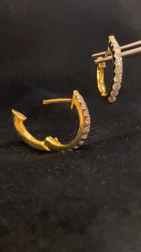 Pave 0.36 Cts Round Brilliant Cut Diamonds Petite Hoop Earrings In 750 18K Gold - Video 1 of 1