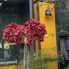 Bild 4 von 8