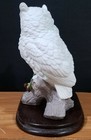 Picture 4 of 11