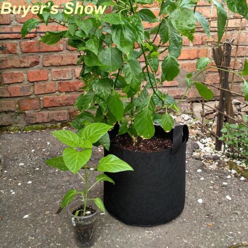 5Pk Plant Grow Bags Fabric Pot Nursery Soil Bag with Handles Thickened Nonwoven. - Picture 17 of 24