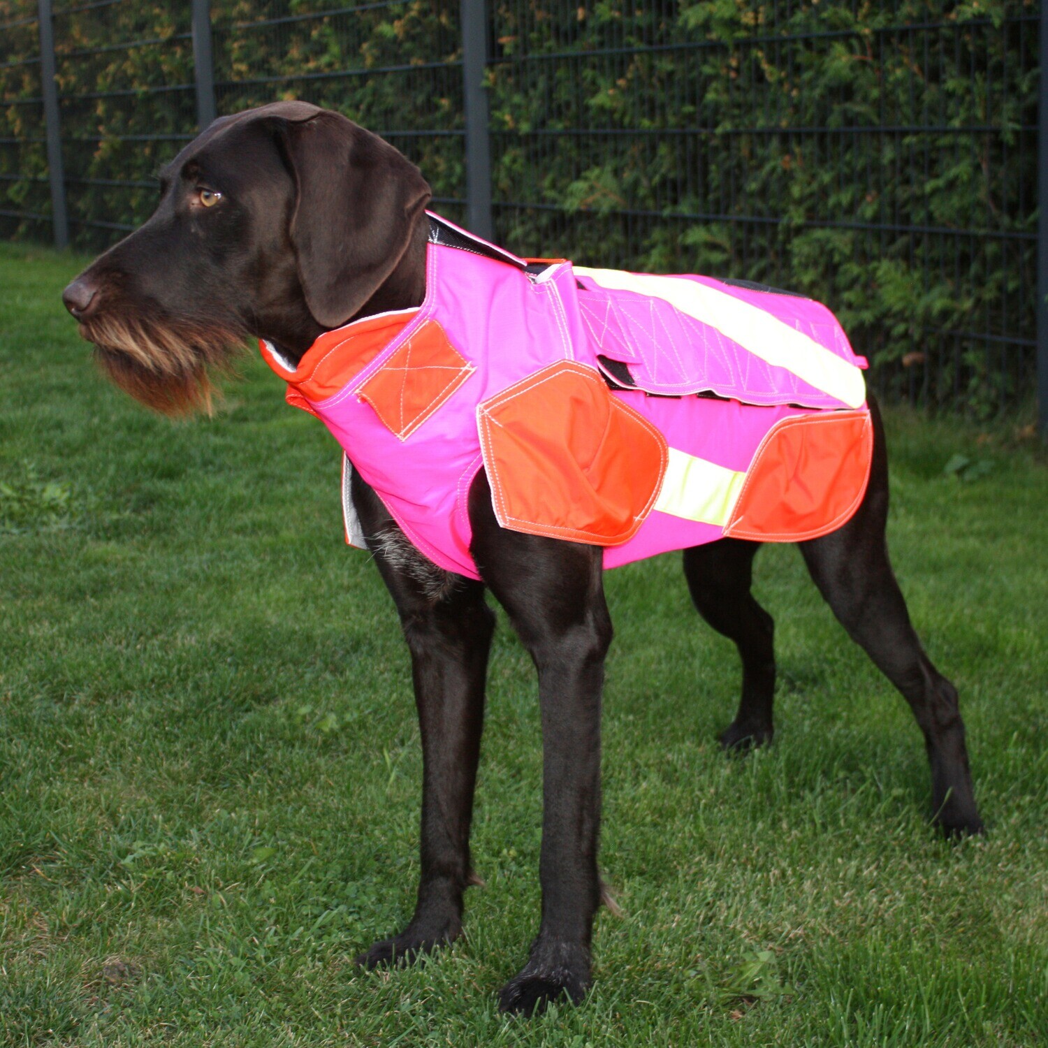 Out Dog Hundeschutzweste Standard Hundeschutzwesten NEU
