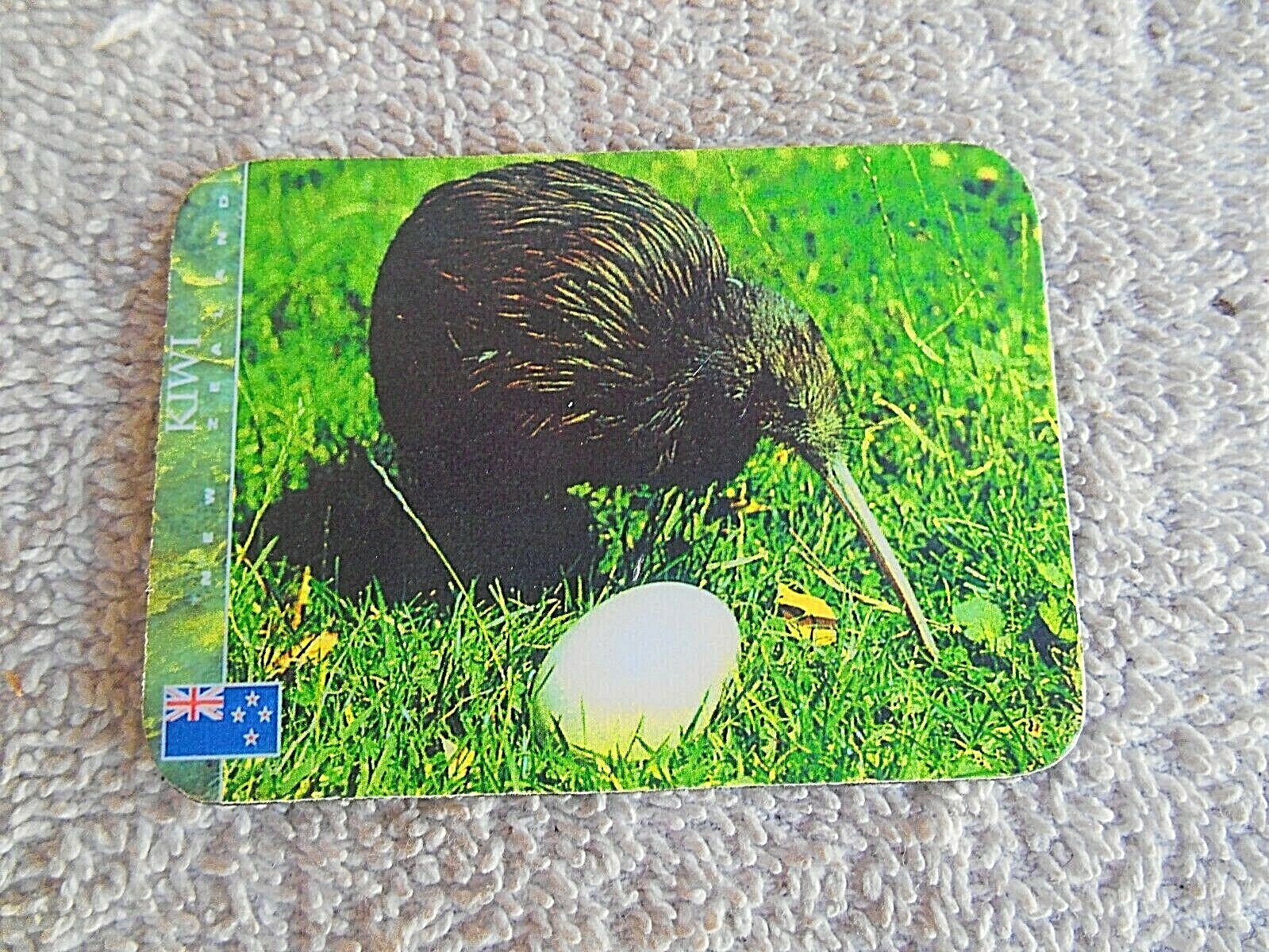 Picture 5 of 8