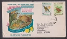 New Zealand 1966 Health Souvenir Cover Ellerslie to Transvaal