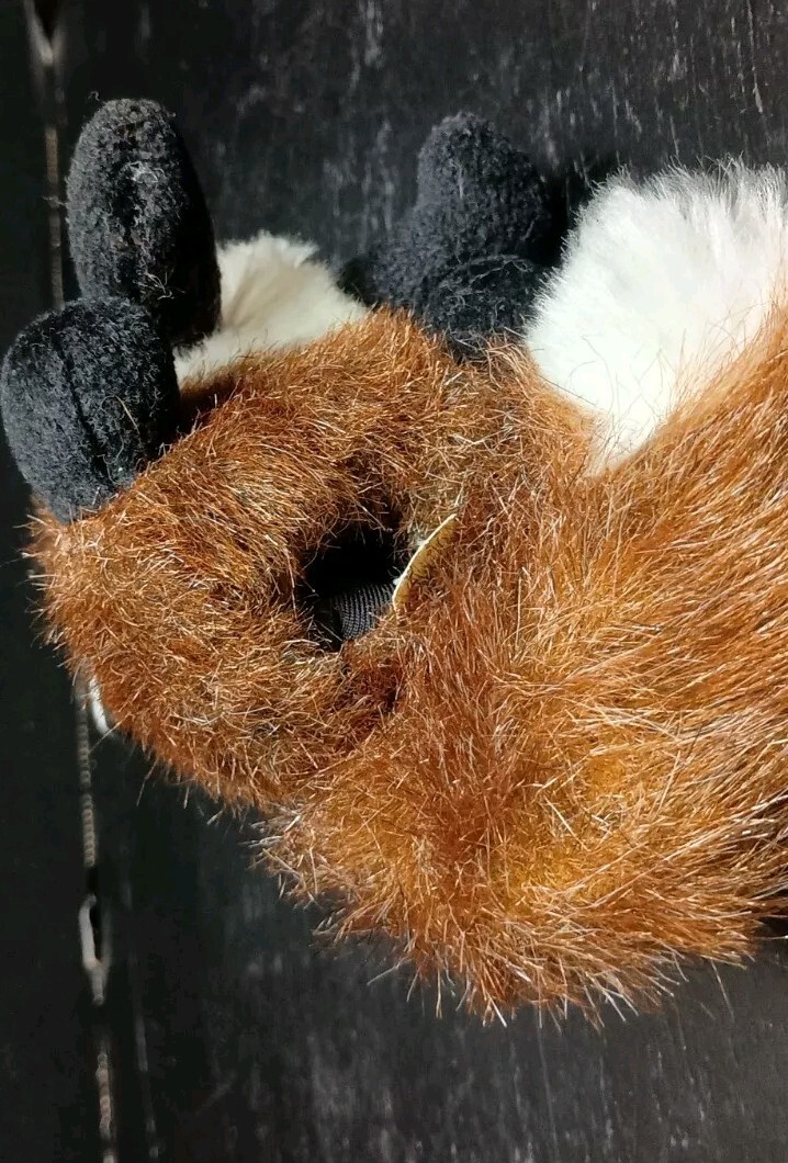 Picture 5 of 6