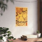 Bild 17 von 35