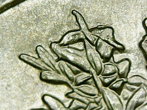 Die Chip Error in 2020 Salt River Bay National Historical Park Washington coin - Foto 5 di 6