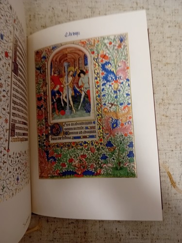 " LE MINIATURE DI UN LIBRO D' ORE " IL LIVRE DE LAUDES ET DÉVOTIONS- MEDIOEVO - Foto 8 di 24