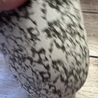 Picture 5 of 6