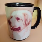 Picture 1 of 4