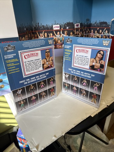 2024 WWE Ultimate Colosseum Collection: BRET HART & JIM NEIDHART-Hart Foundation - Bild 13 von 16