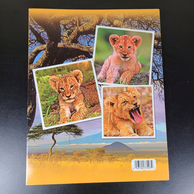 2013 Mead Baby Zoosters Lion Cub Folder Portfolio 12