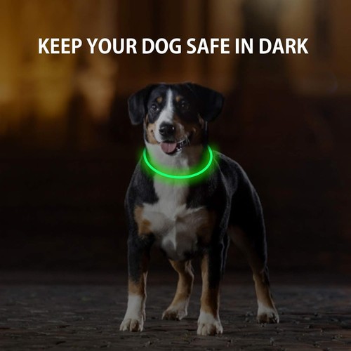 Paquete de 2 collares LED para perros, collares iluminados, recargables verdes y azules  - Imagen 2 de 6