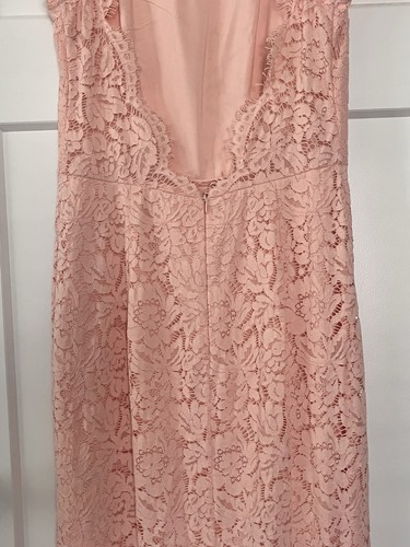 Rachel Zoe rosa Spitze Maxikleid Hochzeit Brautjungfer formell Partykleid Abschlussball Tanz - Bild 12 von 18