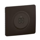 - Prise USB-C Double Céliane - 2 Ports USB-C 3A/20W - Recharge Tous Types dEq...