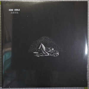 King Krule アナログレコード LP king krule アナログレコード 2枚セット キングクルール vinyl