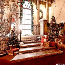 10'x10' CP Christmas Season Scenic Microfiber Fabric background backdrop BHF1751