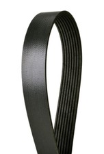 Serpentine Belt  Continental Elite  4080830