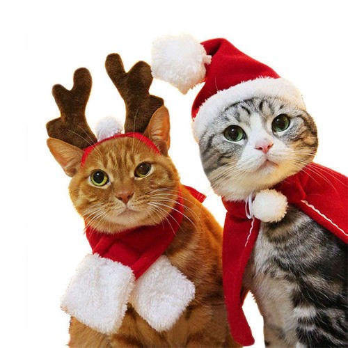 Mascota Gato Perro Navidad Sombrero Con Bufanda Mascota Santa Sombrero Bufanda Conjunto Fiesta de Navidad Conjunto - Imagen 10 de 14