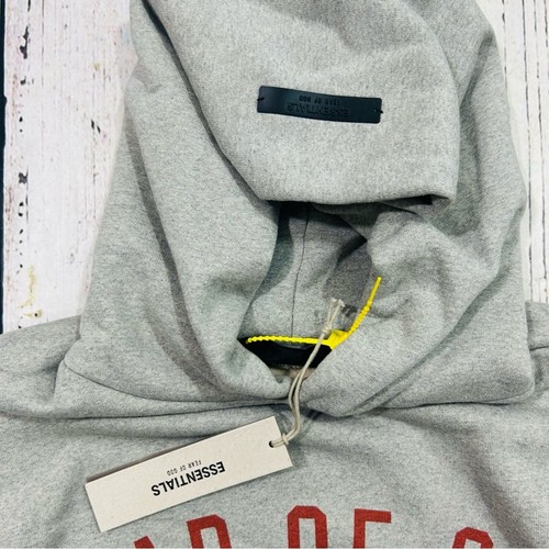 Essentials Fear of God fleeced hoodie and sweat pants set Rare NEW unisex RARE - Picture 5 of 13