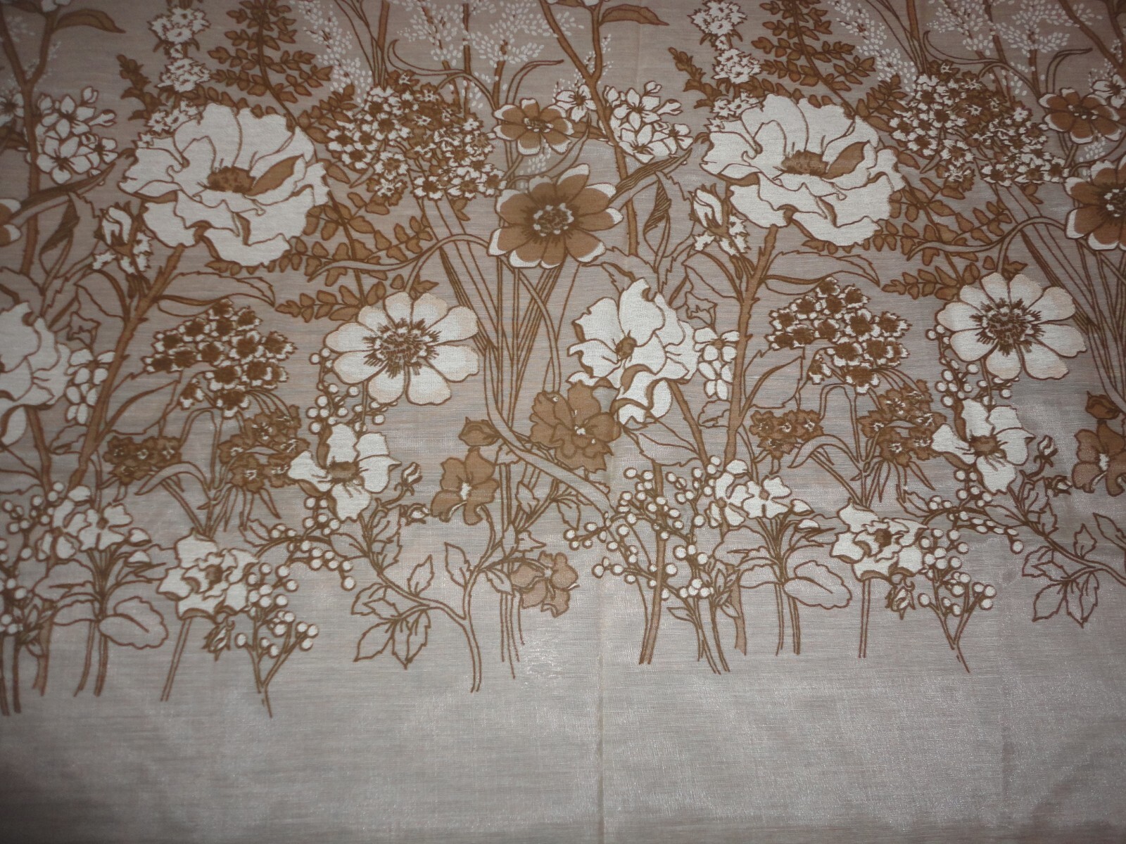 Picture 4 of 6