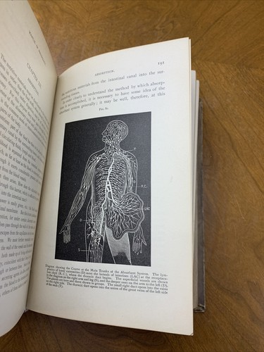 Yeo's Manual of Physiology, 1890 Leather Hard Bound Amazing Patina - Picture 5 of 6