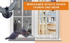 Bild 9 von 10