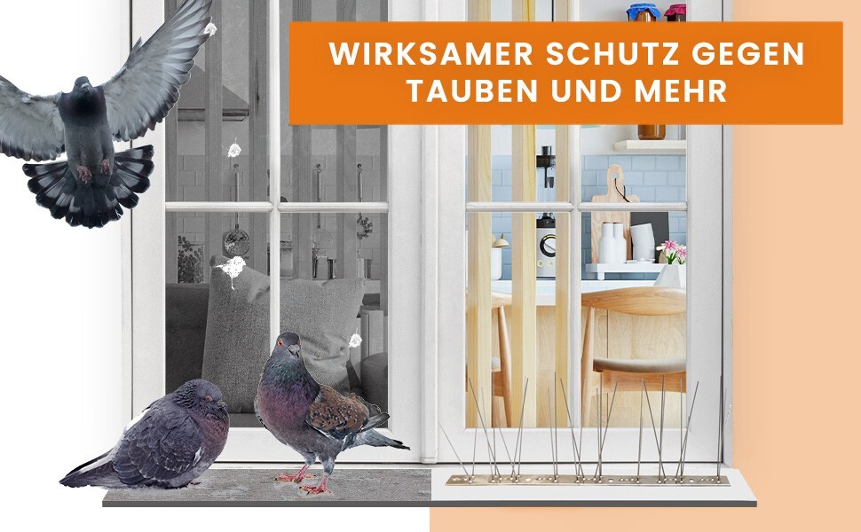 Bild 9 von 10