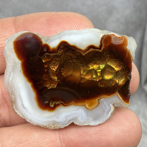 Fire Agate Polished Window Gem Stone w/ Raw Rock Material Green & Orange