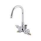Kingston Brass AET200 Aqua Vintage Gooseneck Clawfoot Tub Faucet - Chrome