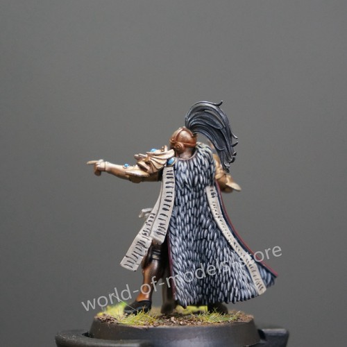 Adeptus Custodes: Sisters Of Silence Warhammer 40K pro painted Army Miniature GW - Picture 8 of 8