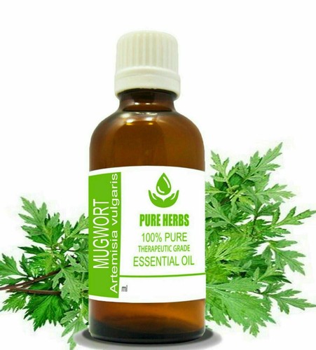 Aceite esencial de artemisia vulgar 100 % puro y natural de artemisia pura artemisa - Imagen 9 de 11