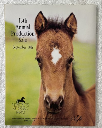 6 Issues- Morgan Horse Pride Products America- 1991- Feb, Apr, May, Jun, Oct,Dec - Picture 8 of 16