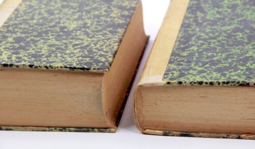 Rarissimi Libri Antichi in Latino Gennaro De Vivo Disputa Teologico 1883 - Foto 11 di 24