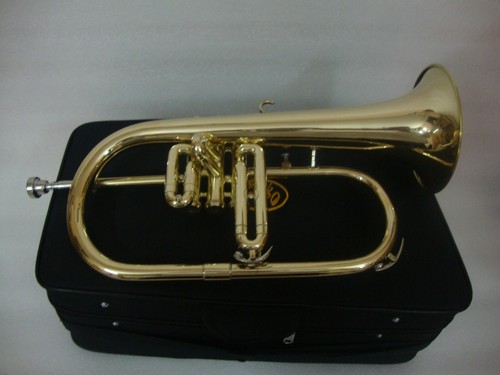 Flugel horn brass finish BB pitch with Hard case And Mouthpiece - Picture 3 of 6