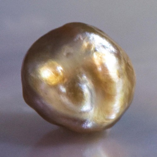 1.30 cts Natural Wild Pteria Penguin Oyster Pearl 5.85 mm Extremely Rare 0.26 g - Picture 9 of 13