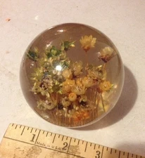 ACRYLIC LUCITE REAL FLOWER ?PAPERWEIGHT sphere size 3"  Weight 11 oz ? Vtg Retro