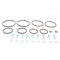 Double Dual Vanos Seal O-Ring Repair Kit with Bolts for BMW E46 E39 M54 M52TU (For: BMW)