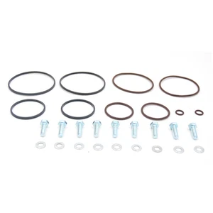 Double Dual Vanos Seal O-Ring Repair Kit with Bolts for BMW E46 E39 M54 M52TU (For: BMW)