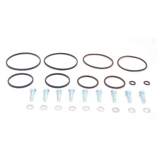 Double Dual Vanos Seal O-Ring Repair Kit with Bolts for BMW E46 E39 M54 M52TU (For: BMW)