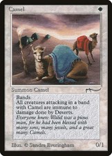 Camel ARN LP MTG