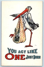 c1910s Humor Stork With Little Horse You Act Like One Just Born Antique Postcard
