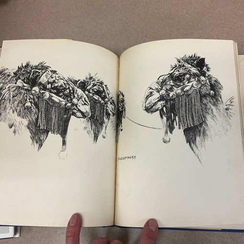 Circus WRITTEN & ILLUSTRATED by Bertha Bennet Burleigh 1938, Very Nice Book - Imagen 8 de 10