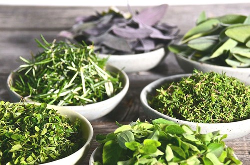 ESSENTIAL KITCHEN SURVIVAL! 5 KULINARISCHE Kräutersorten toller Geschmack gentechnikfreie Samen  - Bild 8 von 12