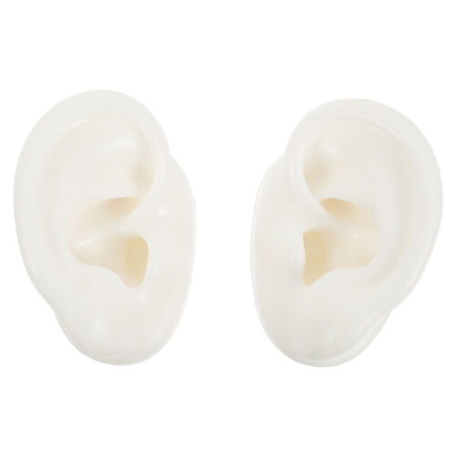 1 paire de modèles d'oreille en silicone simulation modèle d'oreille humaine pour écrans de vitrine de boutique - Photo 1/12