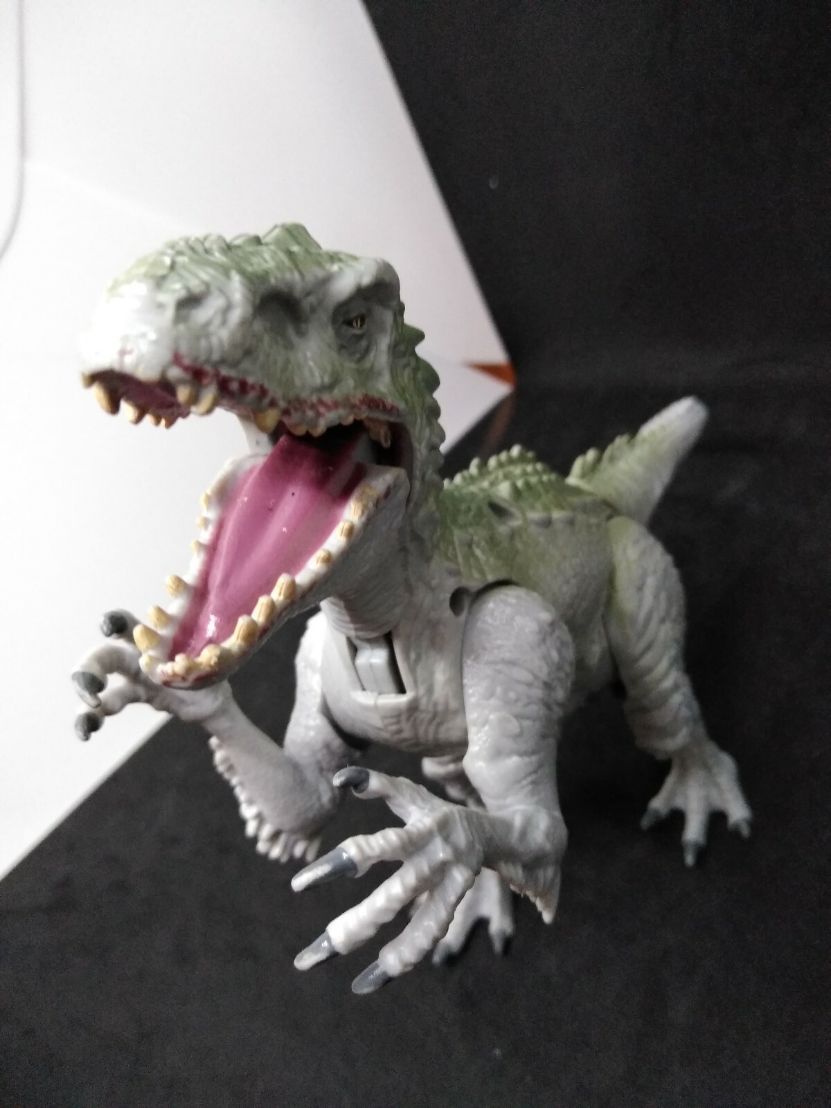 Picture 6 of 6