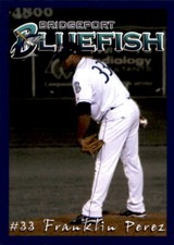 2008 Bridgeport Bluefish Team Issue 23 Franklin Perez Dominican Republic DR Card