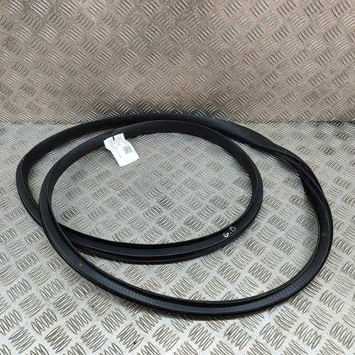 TESLA MODEL Y Rear Right Door Seal Rubber 1497676-00-D 2022 26251167