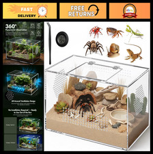 Acrylic Spider  Tarantula Terrarium with Ventilation, Magnetic Door - 12"x7"x7"